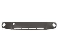 Fits Volkswagen Up Front Bumper Pad With Fog Holes 2012 - 2016