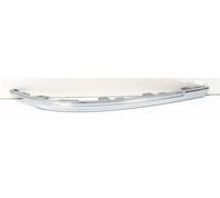PRASCO VG8121253 Bumper moulding