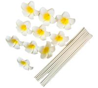 Fituenly 10pcs Rattan Aromatherapy Sticks, Egg Flower Rattan Diffuser Sticks Refill Replacement for Aroma Fragrance