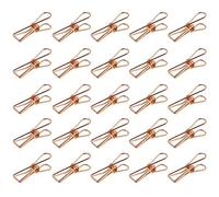 Fituenly 25 Pcs Clothes Pegs Small Metal Clips Multi-purpose Laundry Hanging Clothesline Utility Clips for Clothes, Paper Files, Snacks