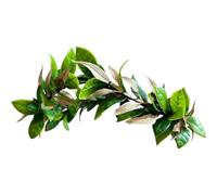 Fituenly Green Greek Laurel Leaf Crown Headpiece Godess King Headband Renaissance Cosplay Headpiece Tiara