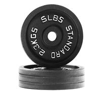 Fitvids Cast Iron 1-Inch Standard Weight Plate for Strength Training & Weightlifting, Multiple Weights Available, 45LB (Single)