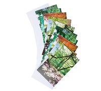 Fitzwilliam Museum Curating Notecard Blank Pack of Greeting Cards University of Cambridge (2 Each of 5 Designs) (Botanic Garden)