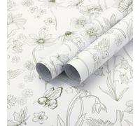 Fiula Green and White Self Adhesive Wallpaper Floral Peel and Stick Wallpaper 44CMx15M Contact Paper Bird Bee Muster Wall Paper Waterproof Vinyl Wrap for Furniture Retro Bedroom Living Room Cabinet