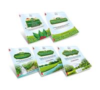 Five Basic Courses for Qur’anic Arabic in English