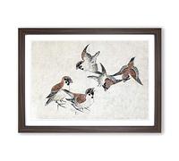 Five Birds by Katsushika Hokusai Framed Print | A2 Walnut Framed Wall Art | Ready to Hang | Asian Nature Picture | Living Room Bedroom Lounge Office