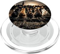 Five Cats on Roof Urban City View PopSockets PopGrip for MagSafe