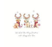 Five Dollar Shake 6 Luxury Christmas Cards Dog Puppy Rudolph Cute Xmas Box Set