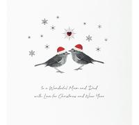 Five Dollar Shake ANIMAL CRACKERS - To A Wonderful Mum & Dad - AR23