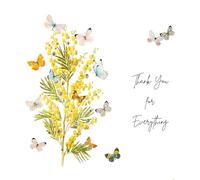 Five Dollar Shake Mimosa Moon - Thank You for Everything - MIM23