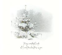 Five Dollar Shake - To My Wonderful Wife All I Want For Christmas - KN20