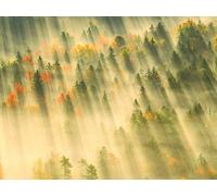 Five Ideas for Successful Landscape Photos