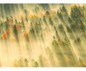 Five Ideas for Successful Landscape Photos