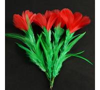 Five in One Flower - Feather Magic Tricks One Feather Flower To Five Trick Stage Gimmicks Props Comedy Accessories Appearing Magic
