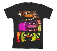 Five Nights at Freddy's "Characters" Boy's Black T-Shirt: Medium