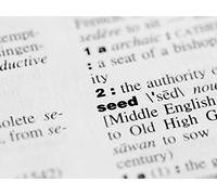 Five Principles for Learning Vocabulary