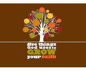 Five Things God Uses to Grow Your Faith Video Bible Study bundle