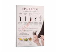 Five Types of Split Ends Identification Guide Salon Poster