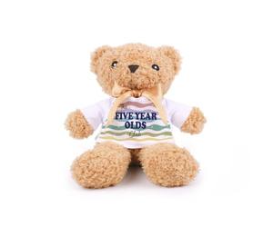 Five Year Old Teddy Bear - Birthday Plush Teddy Gift with T-Shirt