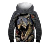 FiveEarl Kids' Dinosaur Print Hooded Sweatshirt, Long Sleeve, Unisex, Ages 6-14 Years (UK, Age, 10 Years, 12 Years, Regular, Trex02)