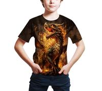 FiveEarl Kids Print 3D Dragon Funny Graphic Short Sleeve T Shirts for Youth Boys Girls 6-14 Years (UK, Age, 13 Years, 14 Years, Regular, Dra01)