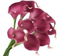 FiveSeasonStuff 10 Stems of Real Touch Calla Lilies Artificial Flower Bouquet, Perfect for Wedding, Bridal, Party, Home Office Décor DIY (Dark Fuchsia)