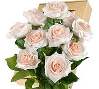 FiveSeasonStuff 10 Stems Real Touch Roses Artificial Flower Silk Roses ‘Petals Feel and Look like Fresh Roses' Bouquet of Flowers Floral Arrangements (Rose Champagne)