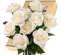 FiveSeasonStuff 10 Stems Real Touch Roses Artificial Flower Silk Roses ‘Petals Feel and Look like Fresh Roses' Bouquet of Flowers Floral Arrangements (Light Champagne)