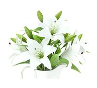 FiveSeasonStuff 5 Stems of Real Touch Lilies Artificial Flower Bouquet, for Home Shop Wedding Office Party Restaurant Décor/DIY Floral Arrangment Decoration 37cm (14.6'') (White)