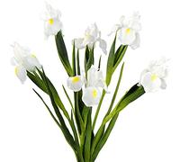 FiveSeasonStuff 6 Long Stems (Cream White) Real Touch Artificial Iris Flowers for Home Shop Office Restaurant Wedding Decoration Party DIY Flower Arrangement, Height: 60cm