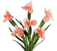 FiveSeasonStuff 6 Long Stems (Dark Pink) Real Touch Artificial Iris Flowers for Home Shop Office Restaurant Wedding Decoration Party DIY Flower Arrangement, Height: 60cm