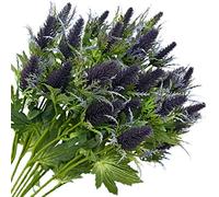 FiveSeasonStuff 8 Stems Real Size Artificial Thistle Spray Real Touch Eryngium(Sea Holly) (Purple) 66cm