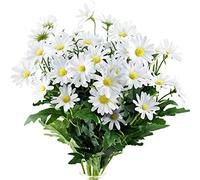 FiveSeasonStuff Artificial Daisy Flowers Silk White Bouquet Wedding Home Centrepiece Decorations (2 Bunches 36cm)