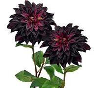 FiveSeasonStuff Artificial Flowers Dahlia Silk Flowers for Outdoors Indoors and Tall Vases 2 Stems (Dark Plum Purple)
