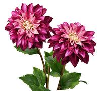 FiveSeasonStuff Artificial Flowers Dahlia Silk Flowers for Outdoors Indoors and Tall Vases 2 Stems (French Pink)