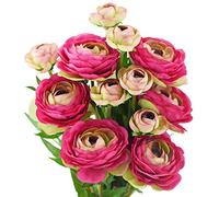FiveSeasonStuff Artificial Flowers Rose Red Silk Persian Buttercup | Ranunculus Asiaticus (6 Stems)