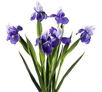 FiveSeasonStuff Iris Flower | Flowers Artificial for Decoration | Wedding Bridal Home Kitchen Party Décor | 6 Real Touch Long Stems (23.6'') | Real Looking Flower Arrangements | Violet Purple