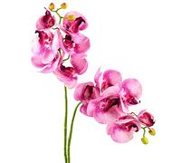 FiveSeasonStuff Real Touch Artificial Butterfly Orchids/Moth Orchid/Phalaenopsis Flowers 70cm (Pastel Violet) 2 Long Stems