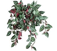 FiveSeasonStuff Real Touch Artificial Hanging Foliage Plant Tradescantia Zebrina House Plants 2 Stems