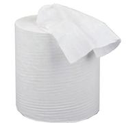 Fivestar 12 X 5 Star Facilities Mini Centrefeed Paper Rolls 1-Ply 197mm X 120M White