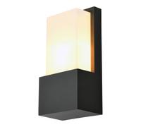Fixed Black Mains-Powered Outdoor Wall Light