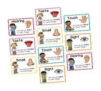 FIXOSHEE 2 Sets Preschool Education Posters Cognitive Cards Early Learning Visual Flashcards for Classroom Home Learning Stimulate Intelligence Development Material for Active