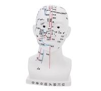 FIXOSHEE 20cm Head Acupuncture Model and Head Massage Model Four Functional Acupoints for Facial Therapy and Tcm Teaching, White Small Size Suitable for Medical Study and Acupoint Training