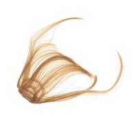 FIXOSHEE 2pcs Fake Bang Hair Lightweight Soft Touch Invisible Wig Bangs for Cosplay Party Role-playing Fancy Dress with Natural Look