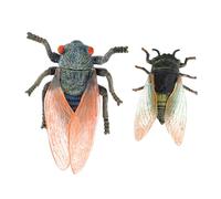 FIXOSHEE 2Pcs Simulation Cicadas for Educational Insect Figurines Lightweight Biological Learning Models Smooth Surface Safe for Boys