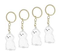 FIXOSHEE 4pcs Pet Hair Memorial Bottle Keychain Transparent Capsule Keepsake for Dog Hair Ashes Storage Display Visible Pet Memorial Chest