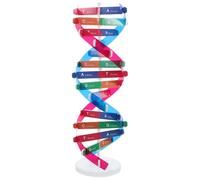 FIXOSHEE Accurate Human Gene Model Kit Double Helix Science Educational for Interactive Stem Learning Tool Biology Classroom Decor Early Education