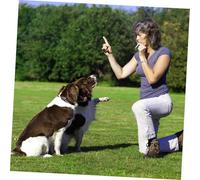 FIXOSHEE Adjustable Pitch Dog Whistle Ultrasonic Trainer Portable Metal Sound Recall Tool for Pet Training with Key Ring Loop Nickel-plated Brass Silver