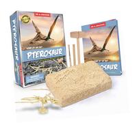 FIXOSHEE Archaeology Digging Dinosaur Pterosaur DIY Excavation Plaything Educational Stem for Intellectual Development Paleontology Learning