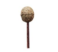 FIXOSHEE Catnip Lollipop Catnip Ball Cat for Cats and Kittens Edible Polygonum Molar Teeth Chew Healthy Dental Cleaning Treat Small to Medium Chewing Stick for Interactive Play and Gum Care